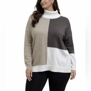 Absolutely Famous Tri-Tone Cowl Neck Sweater